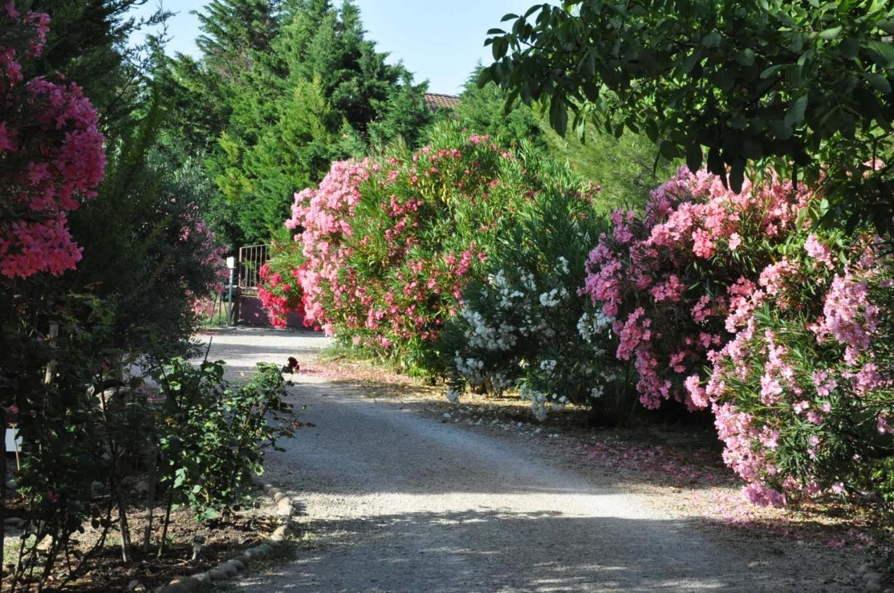 La Ferme De Tonton Jules Et Mame Julia Bed & Breakfast Entraigues-sur-la-Sorgue Eksteriør bilde